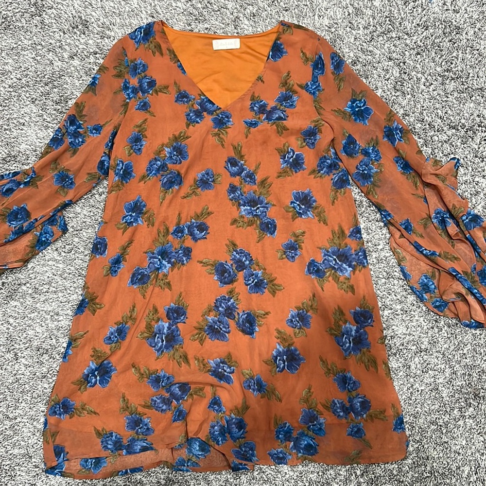 Lined chiffon dress